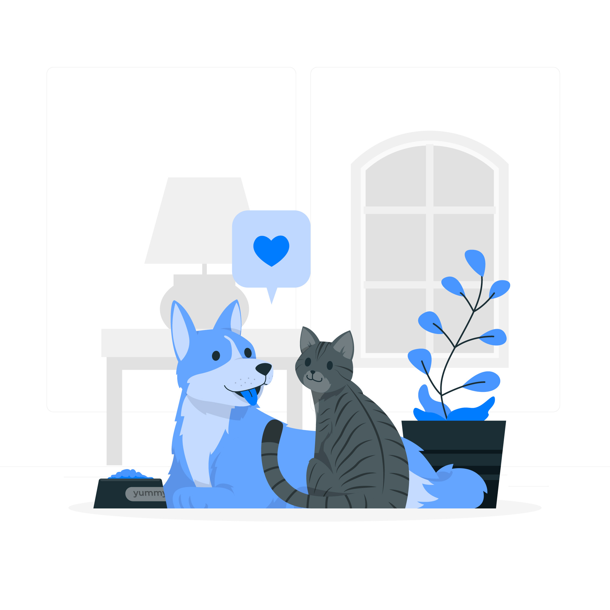 pets dog cat