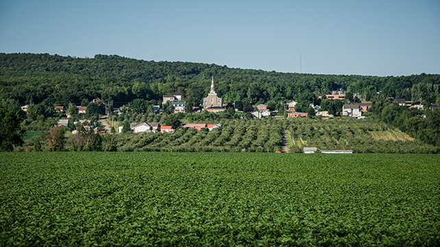 Maisons à vendre Saint-Joseph-du-Lac