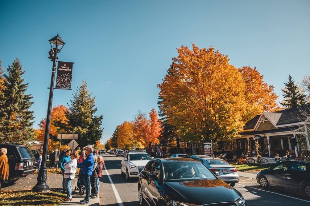 Maisons à vendre Bromont